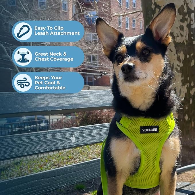 Voyager Step-in Lock Dog Harness - Lime Green, Small | 15 - 18" in Chest, Adjustable, Breathable Air Mesh, Lightweight for Daily Walks, Strong Clips, Heavy Duty D-Ring