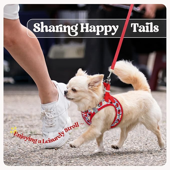 rabbitgoo Dog Harness Medium Sized and Leash Set, Step-in Puppy Pet Vest | Light, Soft, Breathable Air Mesh, Easy on and Remove with Hook & Loop, Secure Reflective for Walking, Apple Pups L