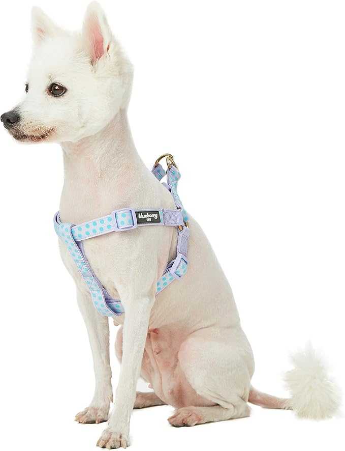 Blueberry Pet 4 Patterns Step-in Velvety Polka Dot Flocking Dog Harness in Pastel Purple, Chest Girth 26" - 39", Large, Adjustable Harnesses for Dogs
