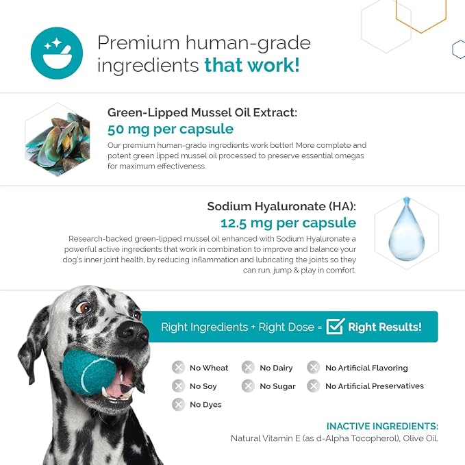 for Dogs - Vet-Formulated Joint Supplement with Green Lipped Mussel, Omega 3s & Hyaluronic Acid for Hip, Joint & Mobility Support - 90 Soft Gel Capsules