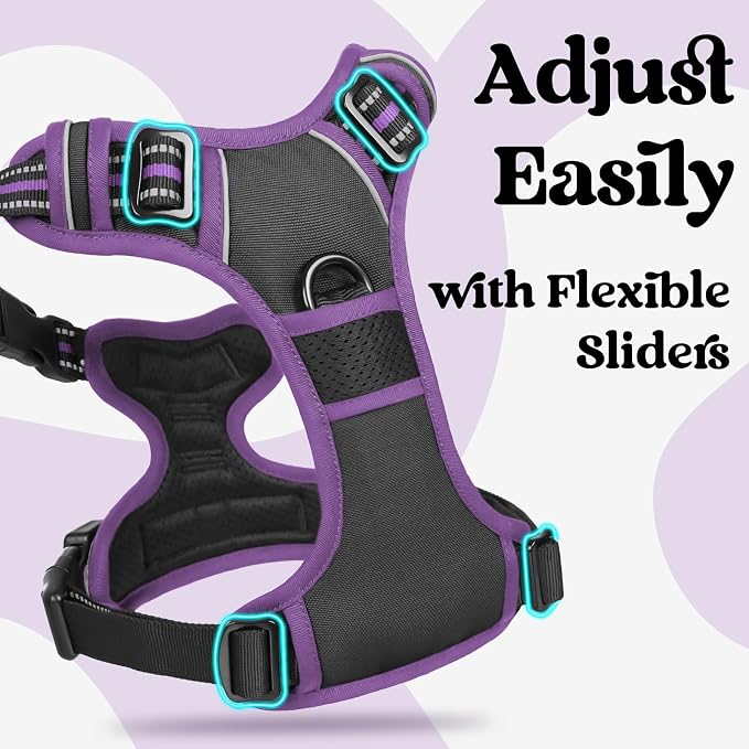 rabbitgoo Dog Harness Medium Sized, Updated Easy On & Off with 3 Buckles | No Pull No Choke, Walking with 2 Clips and Handle, Adjustable Soft Reflective, Black & Purple, Medium