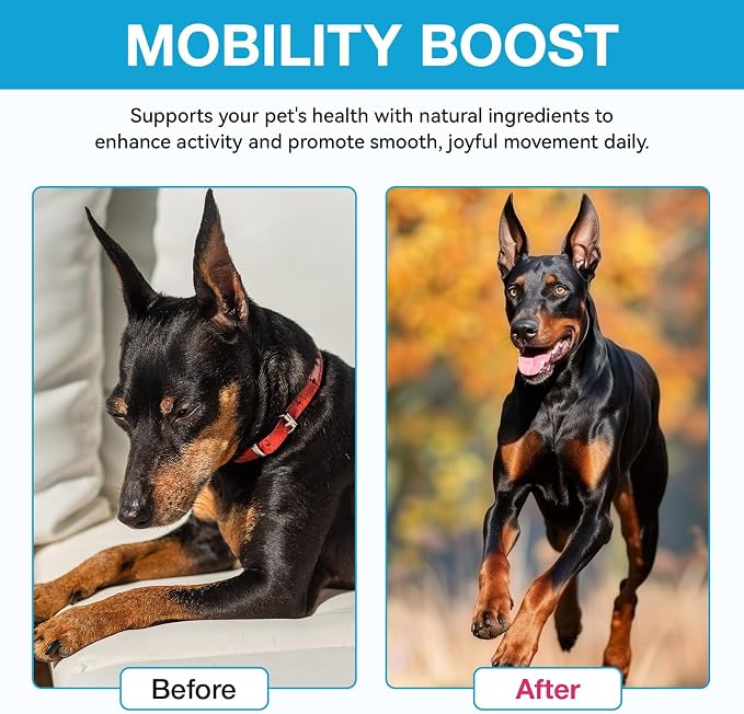 Pain Relief for Dogs, Hip & Joint Glucosamine Drops, Chondroitin Drops for Dogs, Natural Formula with Essential Nutrients for Active & Aging Dog, 60ml