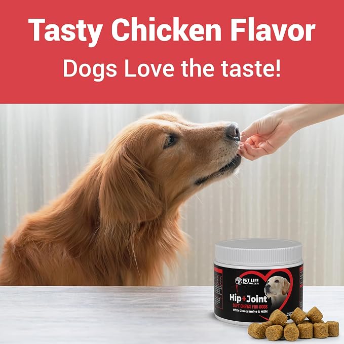 3-in-1 Joint Supplement for Dogs. Chicken Flavored Chews