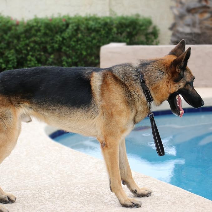 Max and Neo Short Traffic Leash 10" - We Donate One for One a Dog Rescue for Every Leash Sold (Black)