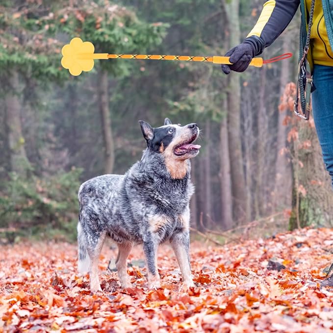 Dog Training Paw Shape Stick Tool, 2 Pack