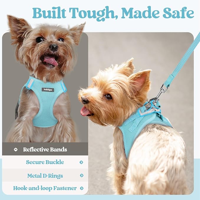 rabbitgoo Dog Harness Small Sized and Leash Set, Step-in Puppy Pet Vest | Light, Soft, Breathable Air Mesh, Easy on and Remove with Hook & Loop, Secure Reflective for Walking, Mint Blue XXS