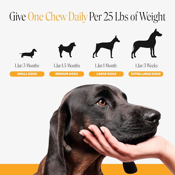 Pet Honesty Dog Allergy Chews - for Paw Licking, Itching & Seasonal Allergies - with Colostrum, Probiotics & Salmon Oil - Vet Recommended Itch Relief Supplement for Dogs (Salmon, 90 Ct)