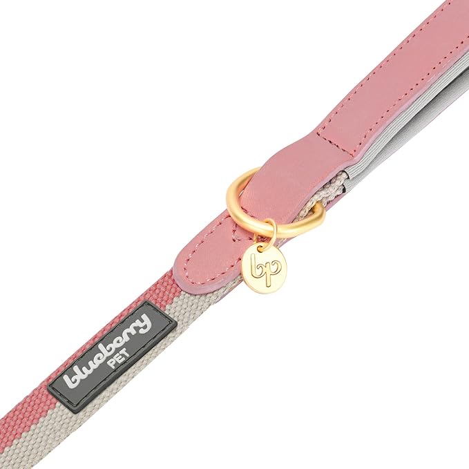 Blueberry Pet Polyester Fabric Webbing and Soft Genuine Leather Dog Leash with Soft & Comfortable Handle, 6 ft x 3/4", Pink and Grey, Leashes for Dogs