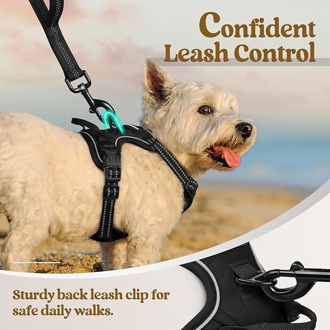 rabbitgoo Dog Harness, No Pull for Small Dogs with 2 Leash Clips, Pet Vest | No Choke with Handle, Adjustable Soft Padded, Reflective, Easy Control for Walking, Black, X-Small