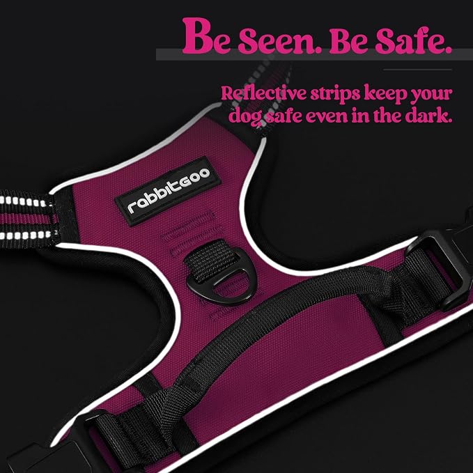 rabbitgoo Dog Harness, No Pull Medium Sized with 2 Leash Clips, Pet Vest | No Choke with Handle, Adjustable Soft Padded, Reflective, Easy Control for Walking, Hot Pink, Medium