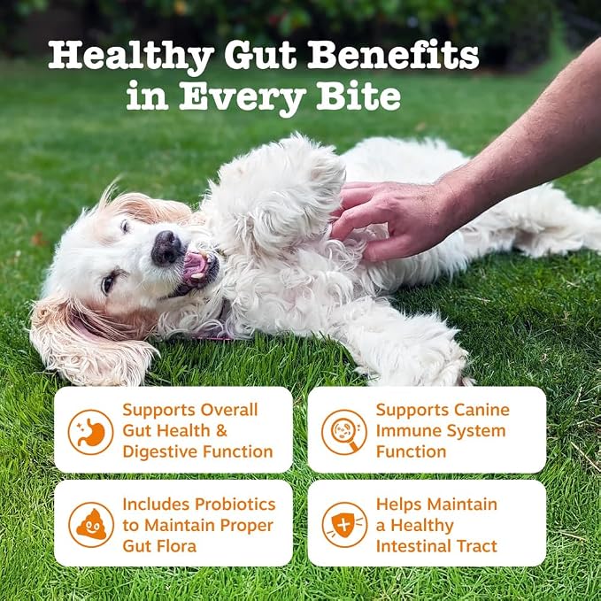 Dog Probiotic Soft Chews – Gut Health & Digestive Support with 1.5 Billion CFU Probiotics, Prebiotics & Enzymes – Helps Improve Stool Quality – All Breeds