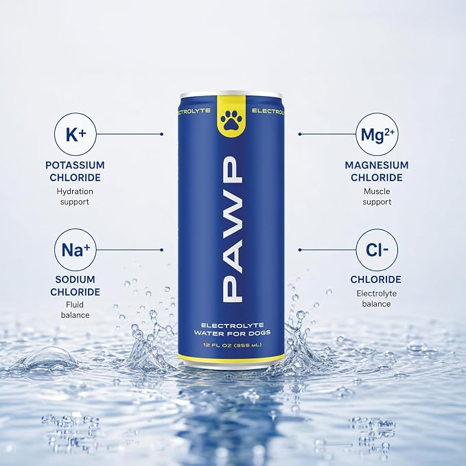 Water Electrolyte Hydration for Dogs | Potassium, Sodium & Magnesium | Supports Hydration, Electrolyte Balance & Recovery | 6 Resealable 12 oz Cans