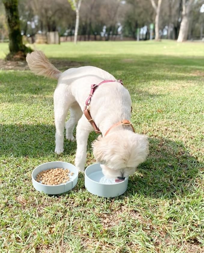 Barkin' Trails Travel Dog Bowl Set, Portable Outdoor Water