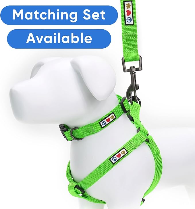 Pawtitas Personalized 6 ft Green Dog Leash XS/S Custom Name and Phone Embroidery Strong Nylon Leash for Small Breeds