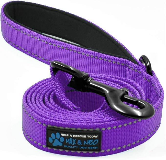 Max and Neo Reflective Nylon Dog Leash - We Donate One for Every Sold (Purple, 6ft)