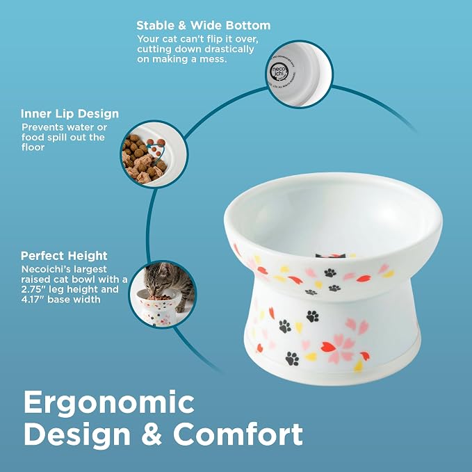 Necoichi Raised Cat Food Bowl – Ceramic Elevated Cat Bowl for Whisker & Neck Fatigue, Dishwasher Microwave Safe – Non-Slip & Anti Vomiting Ergonomic Design (Sakura Floral, Regular, 1-Cup Capacity)