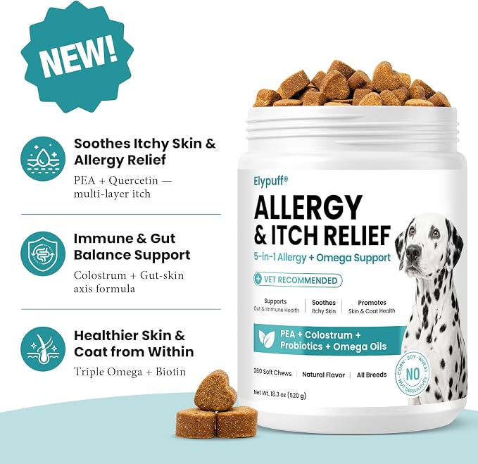 Dog Allergy Chews 260ct - Value Size Dog Allergy and Itching Skin Relief Anti Itch Aller Immune Bites for Dogs Licking Paws Treatment - Probiotics Vitamins for Itchy Skin, Ears & Yeast, Chicken Flavor