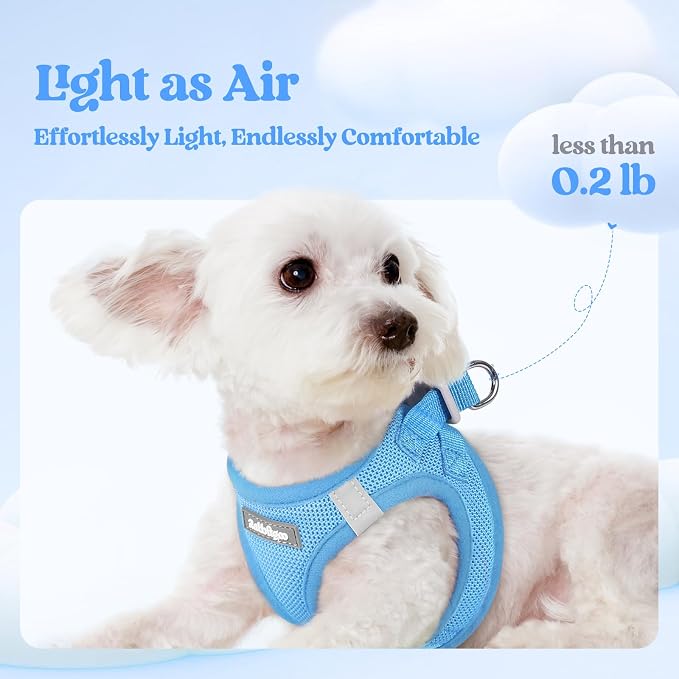 rabbitgoo Dog Harness Small Sized and Leash Set, Step-in Puppy Pet Vest | Light, Soft, Breathable Air Mesh, Easy on and Remove with Hook & Loop, Secure Reflective for Walking, Blue XXXS