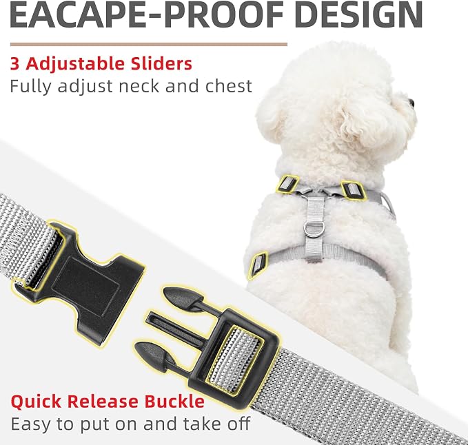 PUPTECK Dog Harness and Leash Set, No Pull Adjustable Pet Small Dog Harness, Reflective Soft Mesh Pet Vest, for Small Medium Dogs Walking, Grey, XS