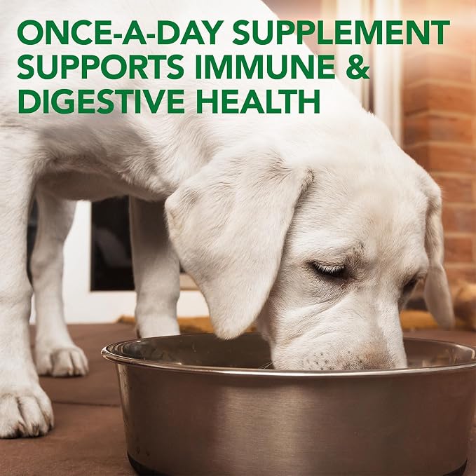 Vet's Best Probiotic Soft Chews for Dogs, Digestive Aid, 30 Day Supply