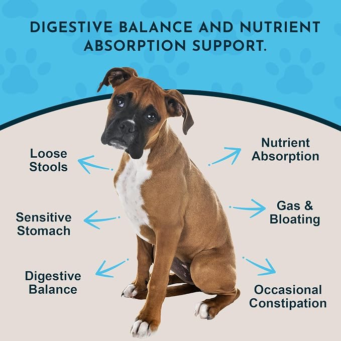 Animal Essentials Plant Enzyme & Probiotics - Probiotics & Digestive Enzymes for Dogs & Cats, Natural Daily Gut & Digestion Support Supplement for Pets, Plant Based - 10.6 oz