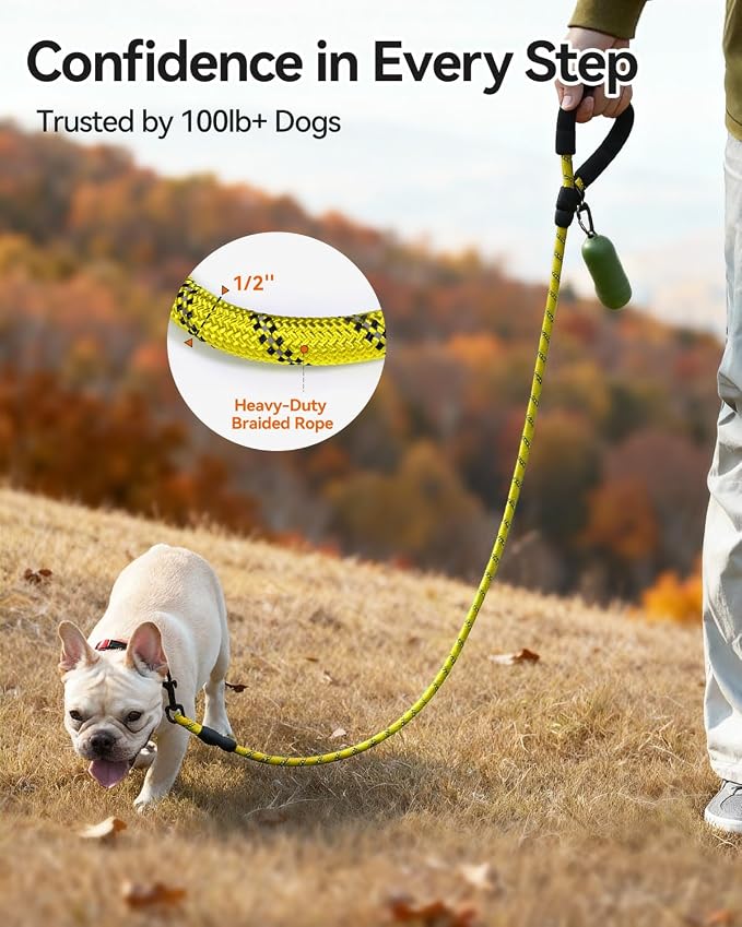 Joytale Rope Dog Leash for Small Dogs, Padded Handle, 6FT, Yellow | Reinforced Nylon Webbing, Comfort Grip Eases Hand Strain, Swivel Clip Prevents Tangles, Visible at Night, for Outdoor Walks