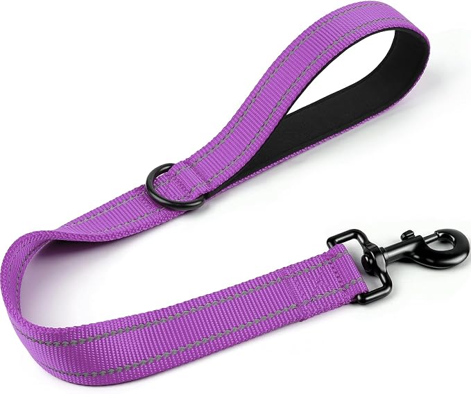 Joytale Short Dog Leash for Close Control & Training, 24", Purple | Padded Comfort Handle, Reinforced Nylon Webbing, Secure Metal Clip, for Busy Streets & Heel Training
