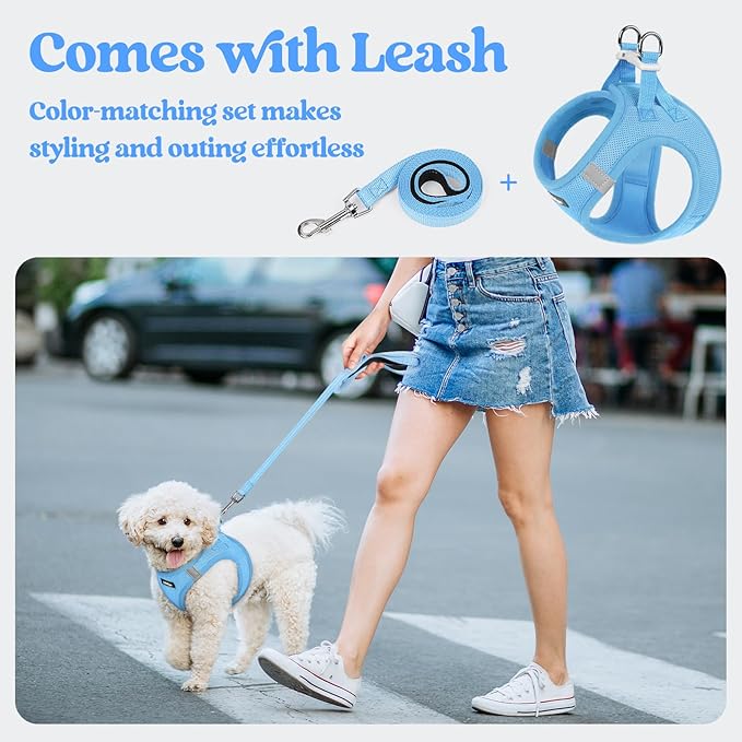 rabbitgoo Dog Harness Small Sized and Leash Set, Step-in Puppy Pet Vest | Light, Soft, Breathable Air Mesh, Easy on and Remove with Hook & Loop, Secure Reflective for Walking, Blue XXS
