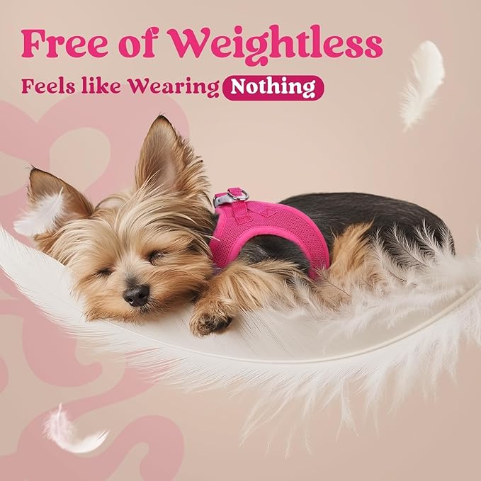 rabbitgoo Step-in Small Dog Harness, Puppy Vest for Small Sized Pet | Easy Put on and off, Lightweight, Soft, Breathable Quick-Dry Air Mesh for Comfortable Secure Walking, Rose Red XXS