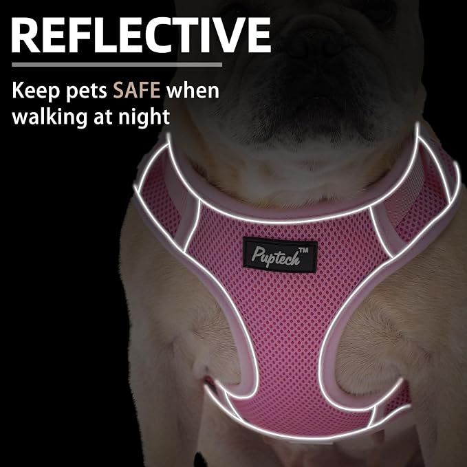 PUPTECK Small Dog Harness and Leash Set, No Pull Adjustable Puppy Cat Harness, Reflective Soft Mesh Pet Vest Small Sized, Pink, S