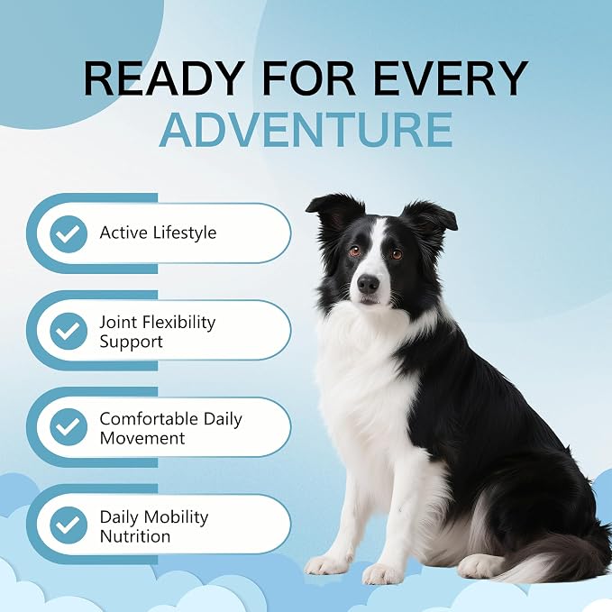 Dog is Multivitamin Chews with Salmon Oil & Chondroitin, 60 Chews (1pc)