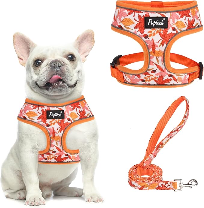 PUPTECK Soft Mesh Dog Harness and Leash Set Pet Puppy Cat Comfort Padded Vest No Pull Harnesses, Orange Leaf, M