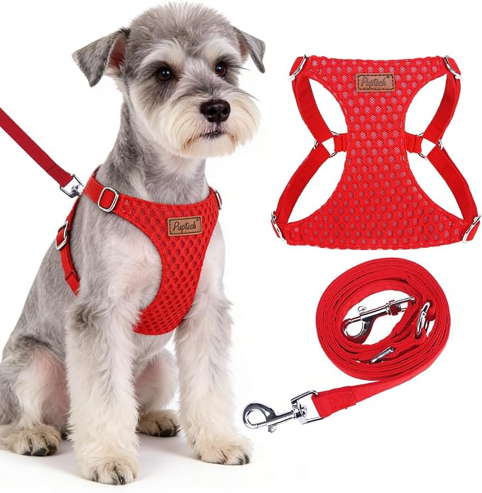 PUPTECK Dog Harness and Leash Set Small Sized, Lightweight Step-in Puppy Harness, Escape Proof No Pull Cute Pet Vest Harnesses, Red S