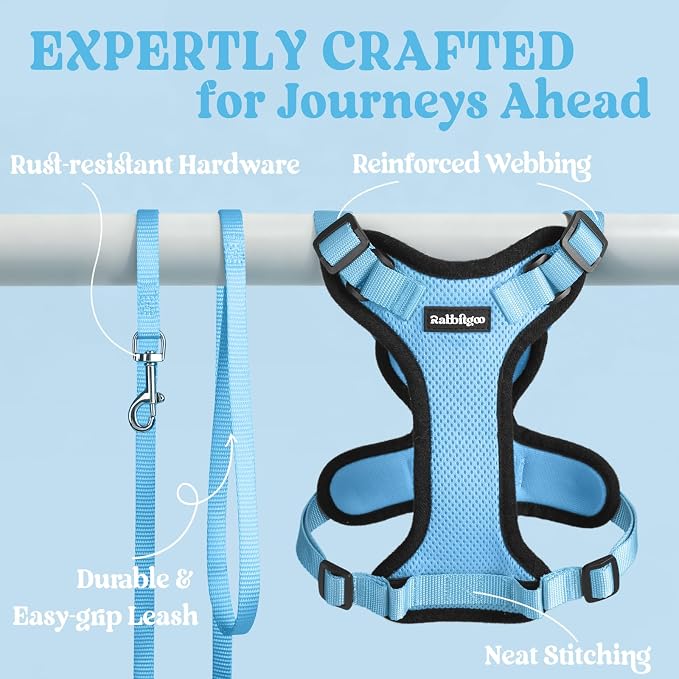 rabbitgoo Cat Harness and Leash Set, Escape Proof Vest, Light Blue | Soft Breathable Mesh, Easy Adjustable Fit, Snap Buckles, Sturdy Clip, Reflective Strips, for Average Cats Walks, S