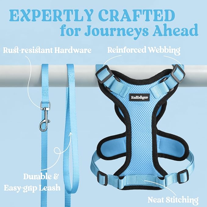 rabbitgoo Cat Harness and Leash Set, Escape Proof Vest, Light Blue | Soft Breathable Mesh, Easy Adjustable Fit, Snap Buckles, Sturdy Clip, Reflective Strips, for Medium to Large Cats Walks, M