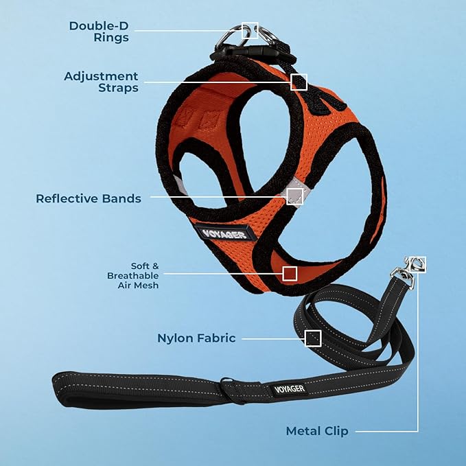 Voyager Step-in Air All Weather Mesh Harness and Reflective Dog 5 ft Leash Combo with Neoprene Handle, for Small, Medium and Large Breed Puppies by Best Pet Supplies - Orange, Medium