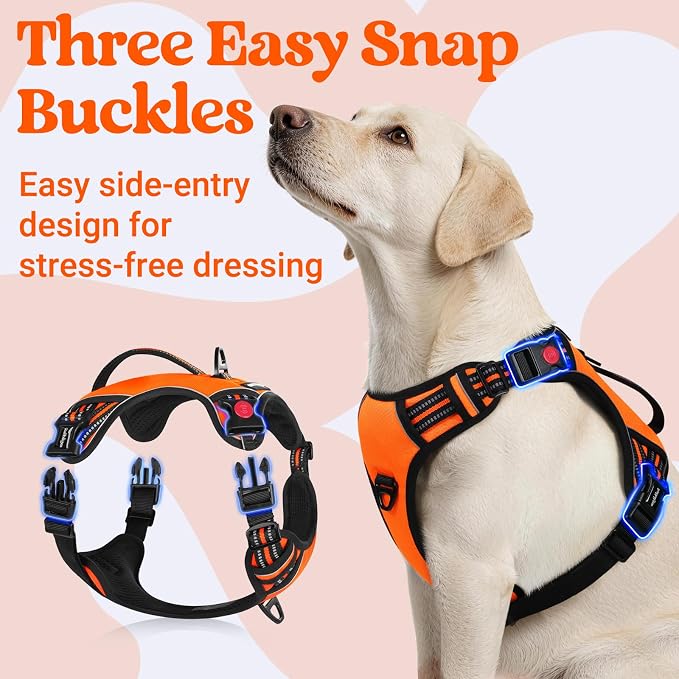 rabbitgoo Large Dog Harness, Easy Wear with 3 Buckles and Lift Handle | No Pull with Front Clip for Walking, Adjustable Soft Padded, Reflective, Easy Control, Orange, Large