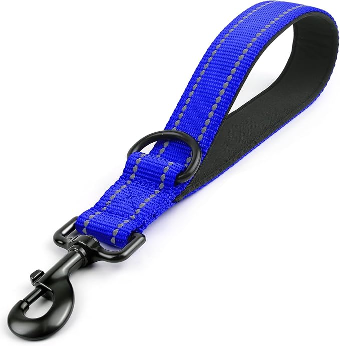Joytale Short Dog Leash for Close Control & Training, 12", Royal Blue | Padded Comfort Handle, Reinforced Nylon Webbing, Secure Metal Clip, for Busy Streets & Heel Training