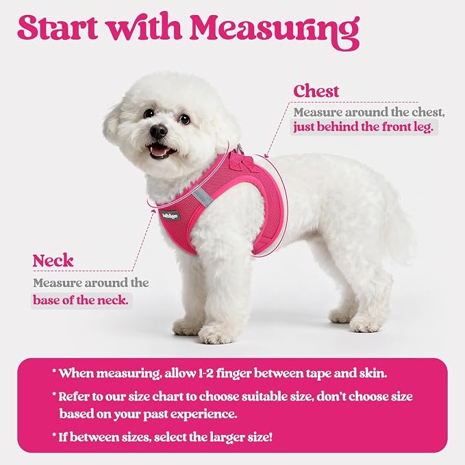 rabbitgoo Dog Harness Medium Sized and Leash Set, Step-in Puppy Pet Vest | Light, Soft, Breathable Air Mesh, Easy on and Remove with Hook & Loop, Secure Reflective for Walking, Rose Red XXL