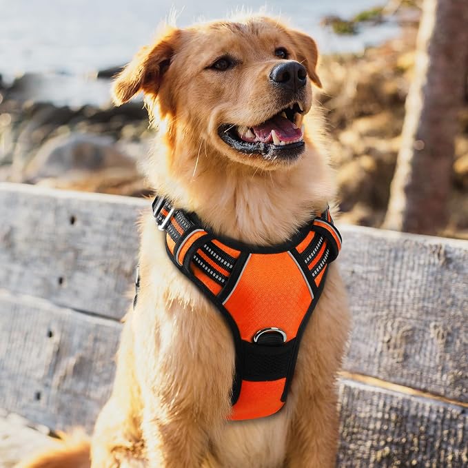 rabbitgoo Dog Harness for Large, No Pull 3 Buckles Easy On & Off | Soft Padded, Walking with Control Handle, Adjustable and Reflective, Orange, X-Large