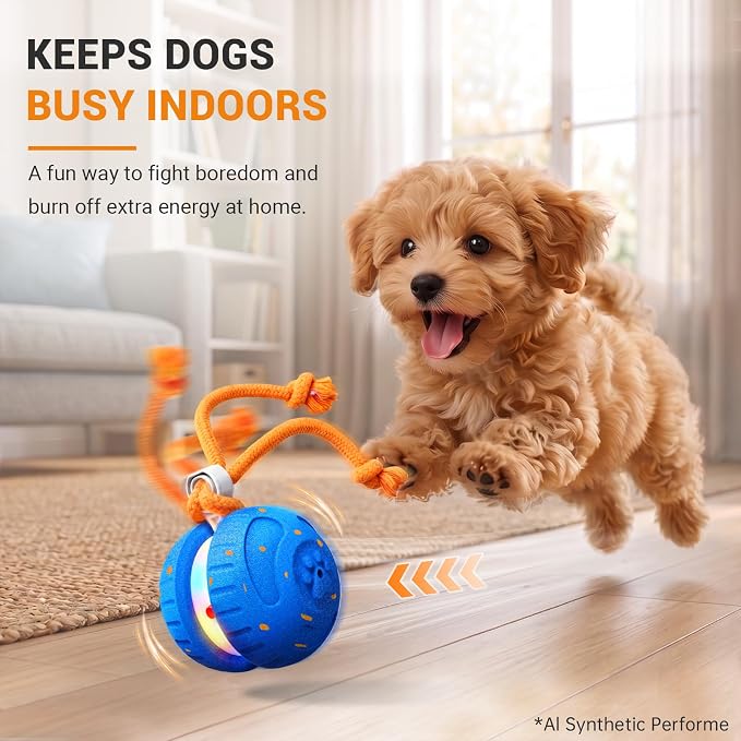 Pamlulu Interactive Dog Toy for Small & Medium Dogs, Fun Enrichment Toy to Keep Dogs Busy, Chew-Friendly Puppy Toy for Indoor & Outdoor Play, Dog Birthday Gift