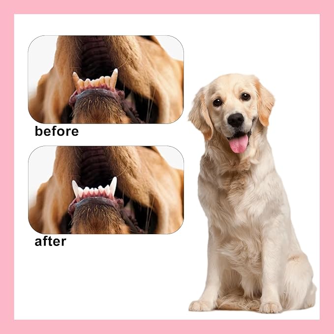 4 Pack Pet Toothbrush, Extra Soft Dog & Cat Toothbrushes Dental Cleaning Brushes for Puppy, Small Dog and Cat Teeth Dental Health Kit, White, Pink, Green, Gray