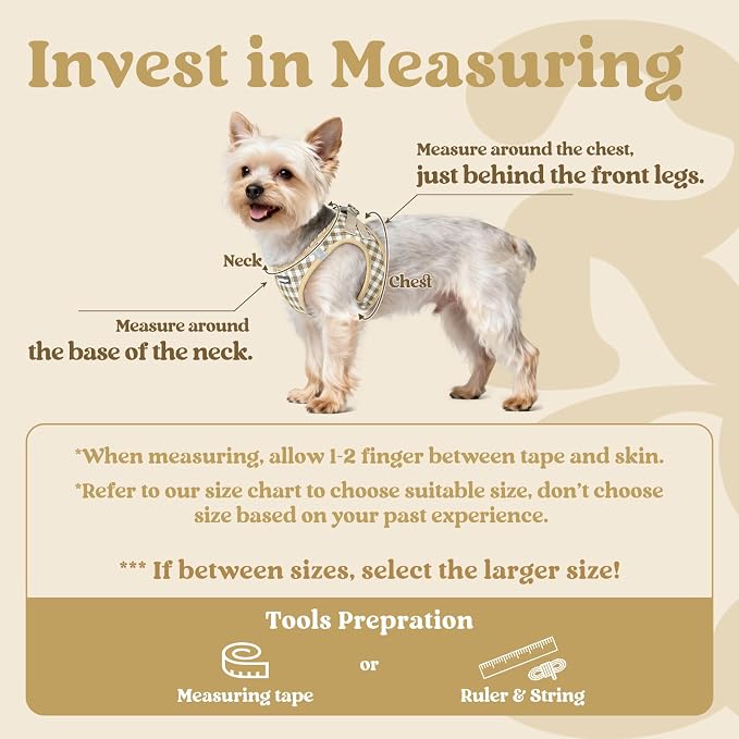 rabbitgoo Step-in Small Dog Harness, Puppy Vest for Small Sized Pet | Easy Put on and off, Lightweight, Soft, Breathable Quick-Dry Air Mesh for Comfortable Secure Walking, Beige Check XXS