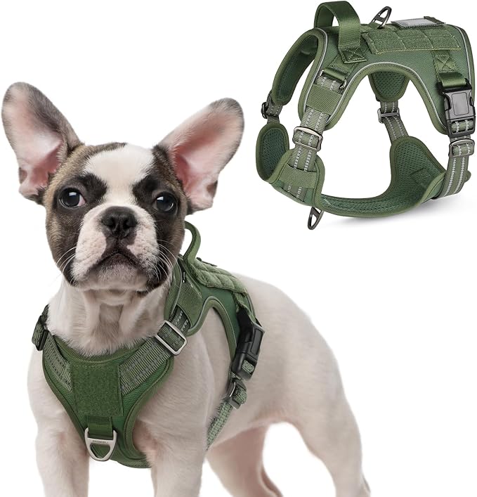 rabbitgoo Tactical Dog Harness for Small, No Pull Military Service Vest | Molle & Handle, Heavy Duty, Adjustable, Reflective Straps, Easy Control for Training Walking, Green, Small