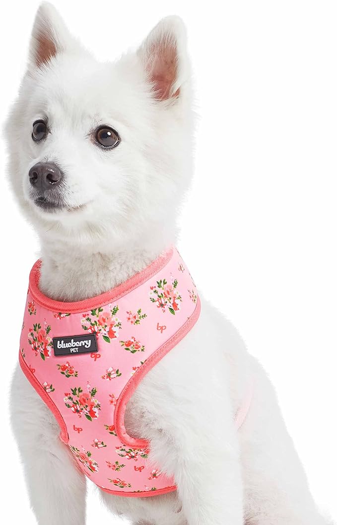 Blueberry Pet Soft & Comfy Spring Scent Inspired Floral Rose Baby Pink Dog Harness Vest, Chest Girth 13" - 16", X-Small, Adjustable Harnesses for Dogs