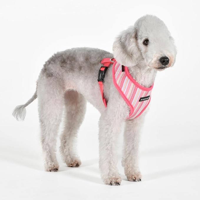 Puppia Theros Dog Harness A (Over-The-Head) Fashionable Striped Pattern Spring Summer Harness for Small and Medium Dogs, Pink, Small