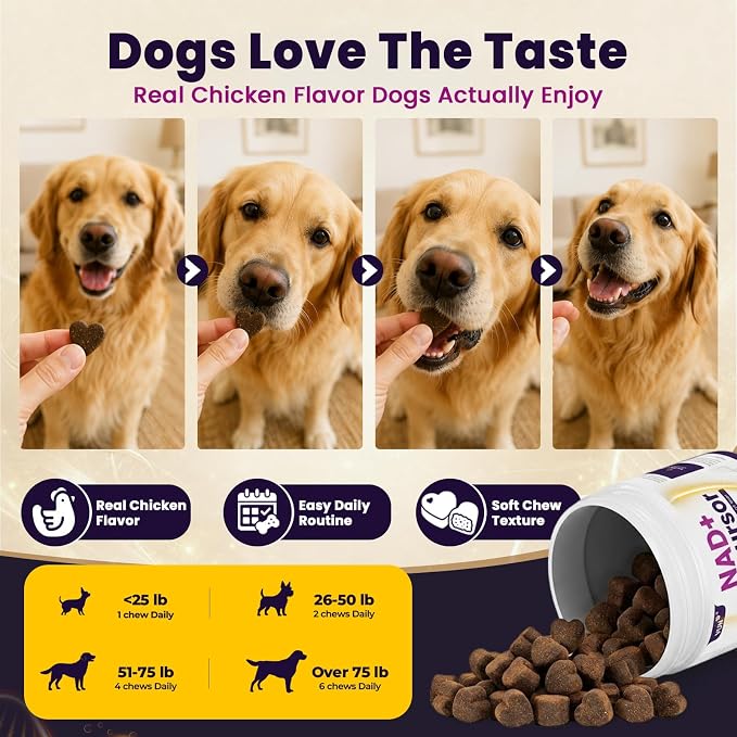 VUN Senior Dog NAD+ Longevity Supplement,NMN Healthy Aging Chews for Dogs