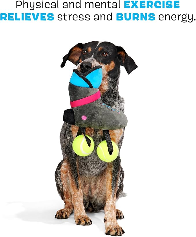 BarkBox Way Rad Rollerblade Dog Toy - for Extra Small to Small Dogs | Plush Rollerblade with Squeaky Tennis Balls, 2 Squeakers & Fluffy Filling