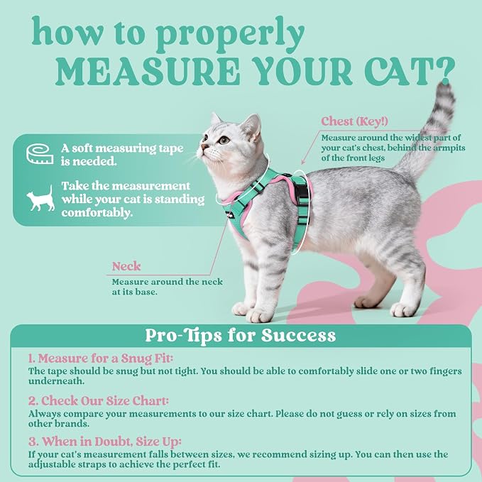 rabbitgoo Cat Harness and Leash Set, Escape Proof Vest, Green & Pink | Soft Breathable Mesh, Easy Adjustable Fit, Snap Buckles, Sturdy Clip, Reflective Strips, for Medium to Large Cats Walks, M