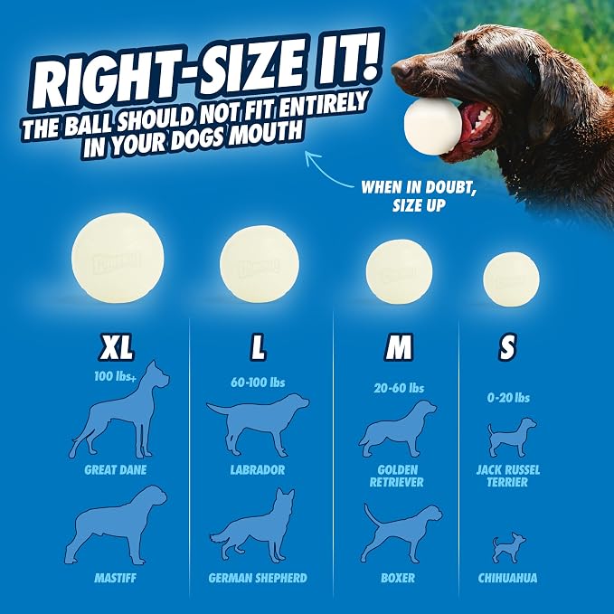 Chuckit! Max Glowin the Dark Bouncy Ball for Dogs, Large 3in, 1 Pack